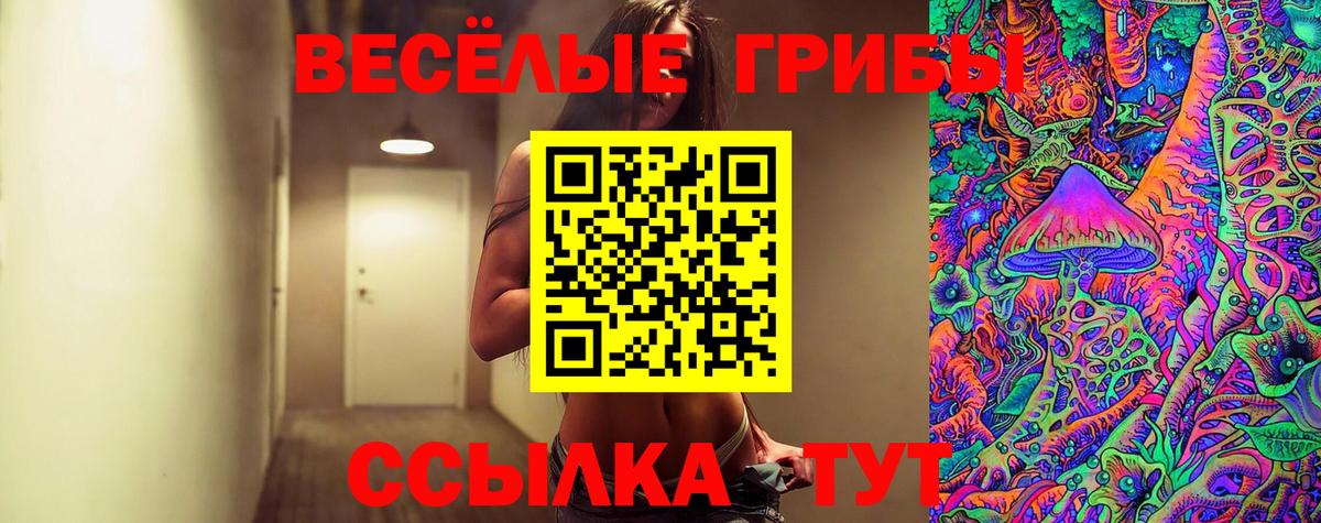 Асино  Псилоцибиновые грибы ЛСД  Вход с VPN  Псилоцибиновые грибы Magic Shrooms 
